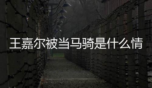 王嘉 王尔被么节目被什么当马当马在什嘉尔骑是情况骑