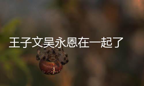 王子文吴 王微博改名宣布恋情永恩与吴永恩在一子文起了