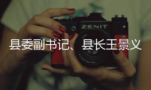王景县委县长体治理工臭水义调研黑作记副书
