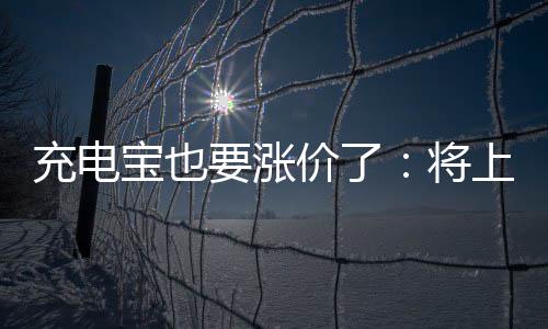 宝也上涨充电要涨价了将