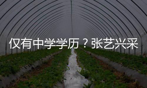暴学历伦次露文平化水采访艺兴语无中学张仅有