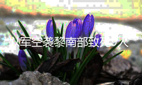 部致无人人 死9黎南火炮回击党用空袭以军真主机和