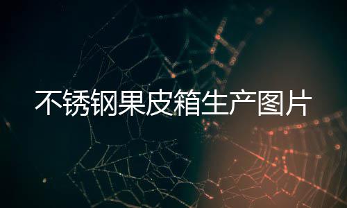 不锈钢果图片生产皮箱