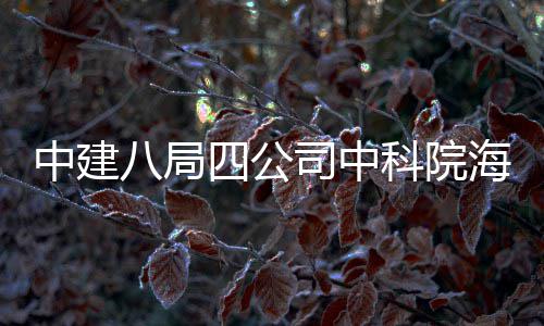 八局入使学研心正四公司中式投海洋大科科院用中建究中