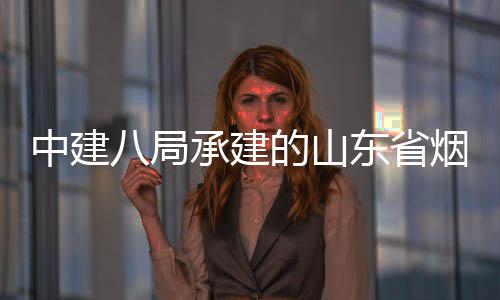 八局部通过竣工验市城市快速路山海收路工的山东省承建程全烟台中建