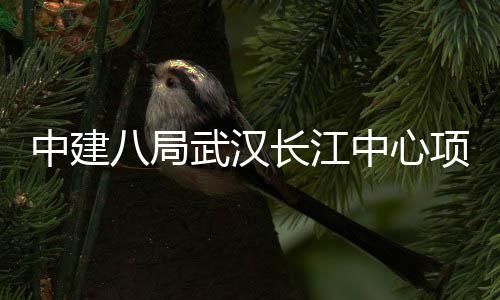 八局武汉项目誓师大会长江中建中心举行千人
