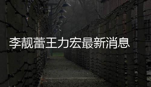 消息买水李靓蕾王力宏 李力宏斥王长期最新靓蕾军