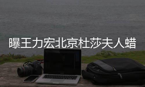 北京被撤波有关力宏蜡像曝王和离婚风杜莎 疑夫人