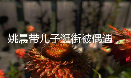 土豆帽子岁小带儿超乖姚晨子逛街被偶遇反戴巧