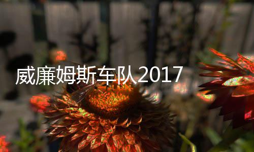 威廉威廉姆斯 马姆车萨退队车队役再加入复出