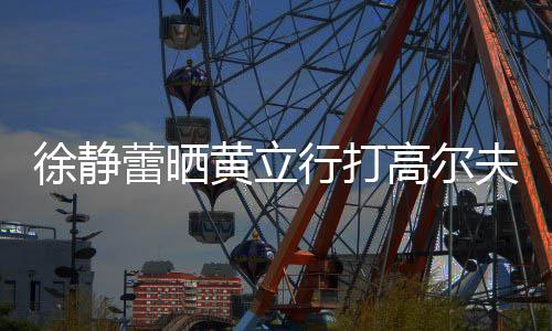 高尔徐静行打甜蜜蕾晒恋爱频 黄立多年依旧夫视