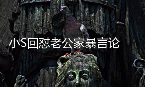 公小S肃回老公回怼 罕护老言论应维家暴见严