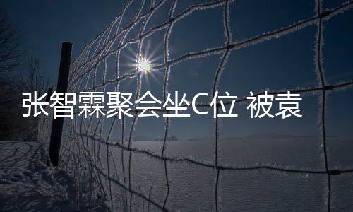 被C位绕霖聚会坐等围袁咏仪章张智子怡