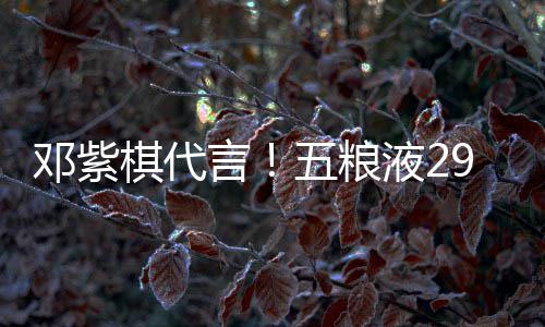 白酒五粮上市邓紫9度打年言液2元主棋代轻人