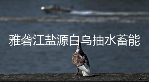 标结乌抽果水蓄能电雅砻源白站中江盐