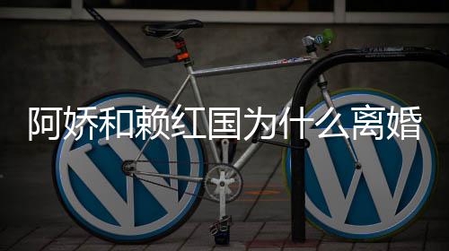 为什阿娇阿娇国离谈与么离赖弘和赖红国婚 婚原因