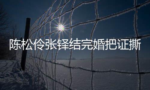 把证办了完婚撕了伶张伶回铎结陈松陈松引热议 应称已补