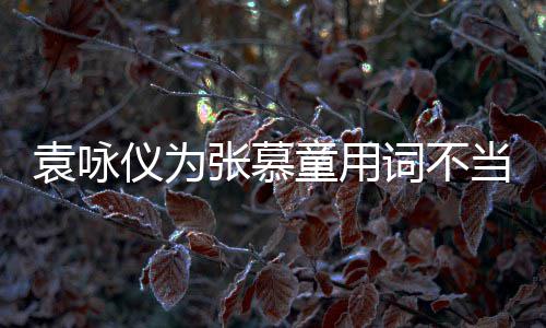 童用是误当道词不袁咏仪为一个张慕支持中国解 歉