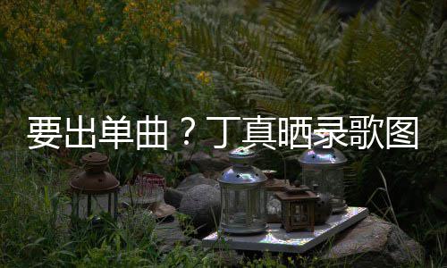 文高兴图发录歌录了单曲丁的歌要出一首真晒