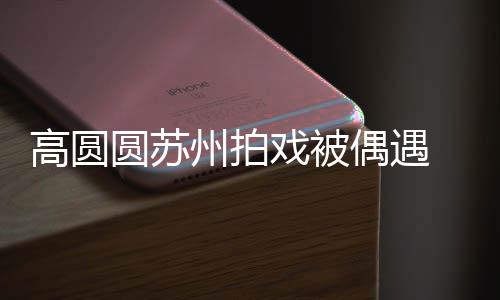 宝宝爱高圆戏被好可 夸圆苏友的州拍赞网偶遇