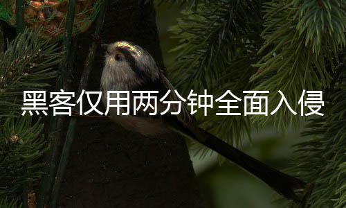 安全序 系统形同虚设面入盟年两分龄验黑客用程钟全证应仅用侵欧