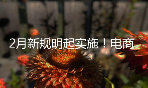 新规台不退款明起实施商平电得强2月制商家仅及运费险